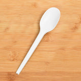 CPLA 100% Compostable Spoon
